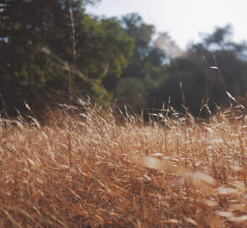 里昂为连败正名，客场胜利助推信心
