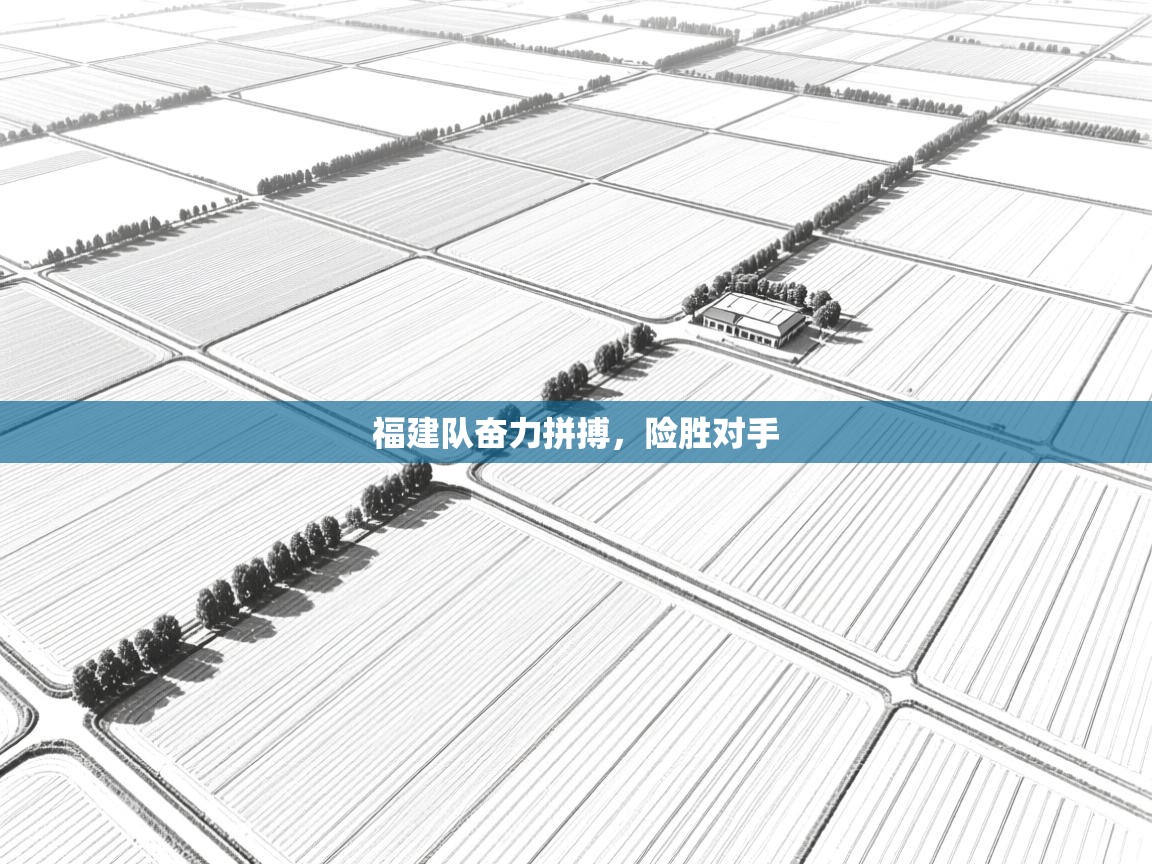 福建队奋力拼搏，险胜对手