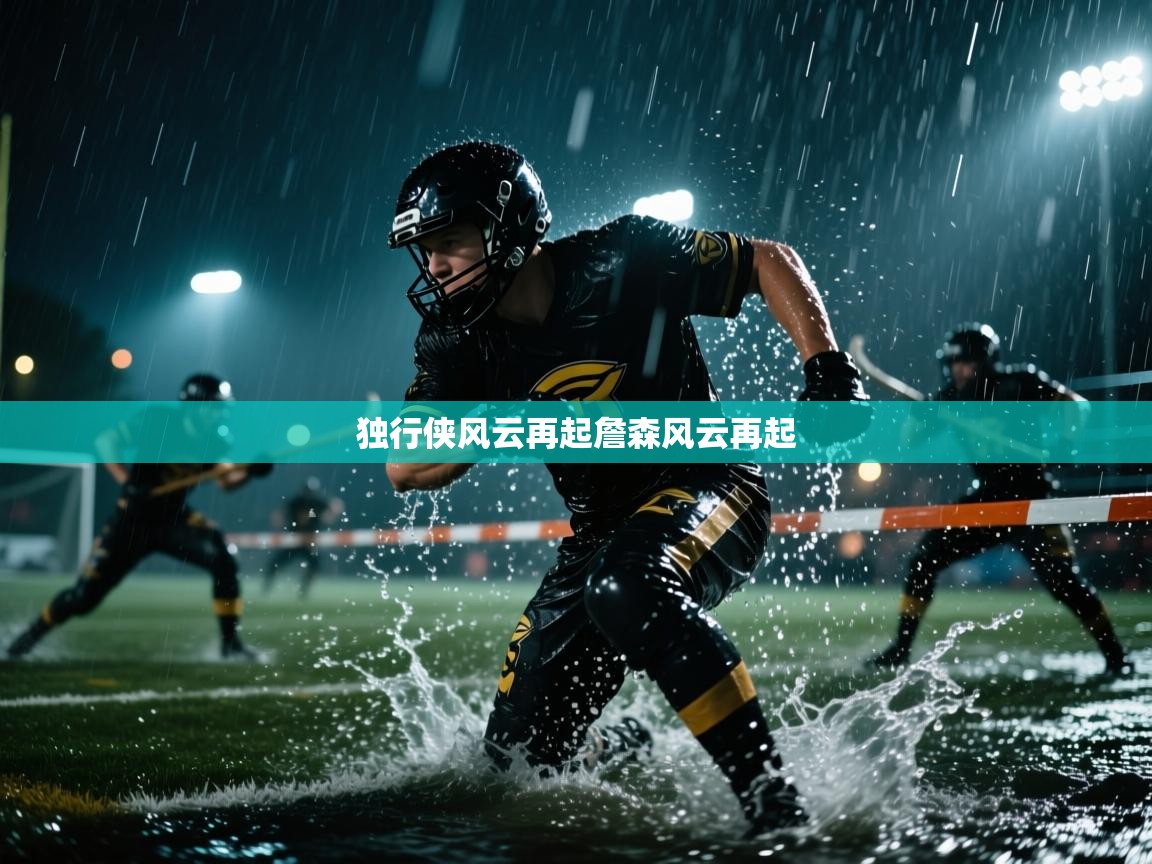 独行侠风云再起詹森风云再起